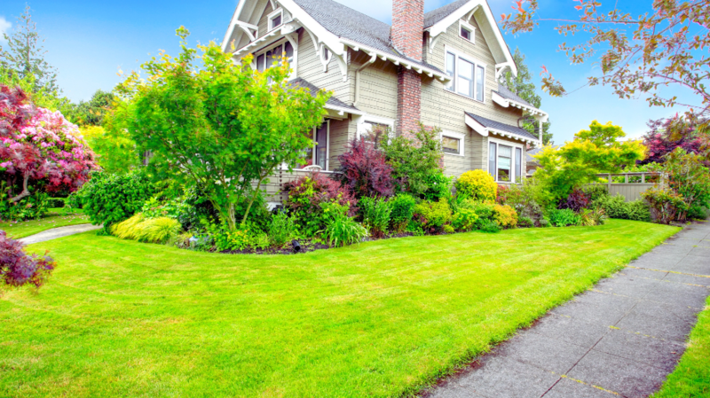 summer curb appeal