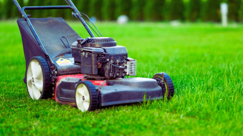 Lawn Maintenance